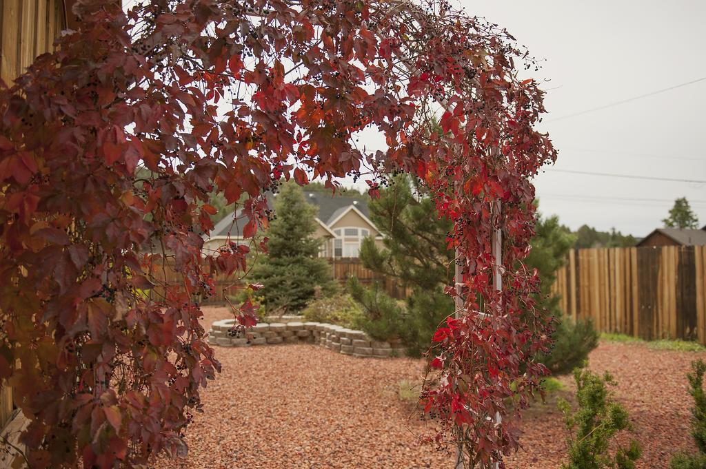 Grand Canyon Bed And Breakfast Williams Exteriér fotografie